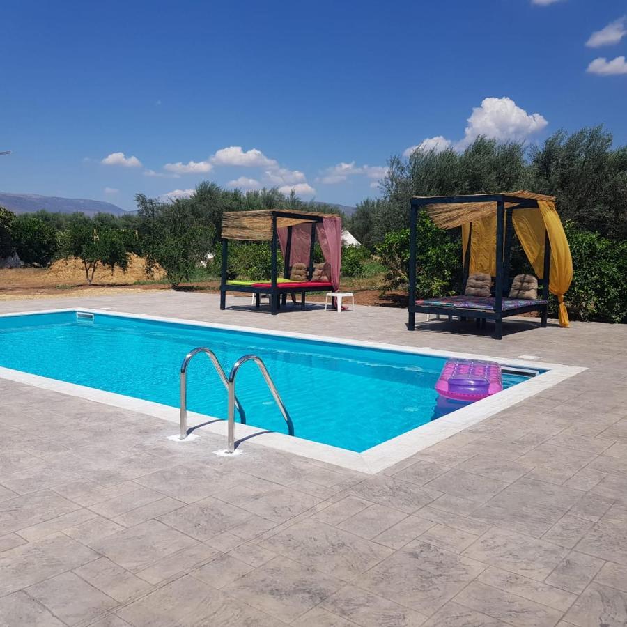 Eco Glamping With Pool Between Nafplio And Argosz Kültér fotó