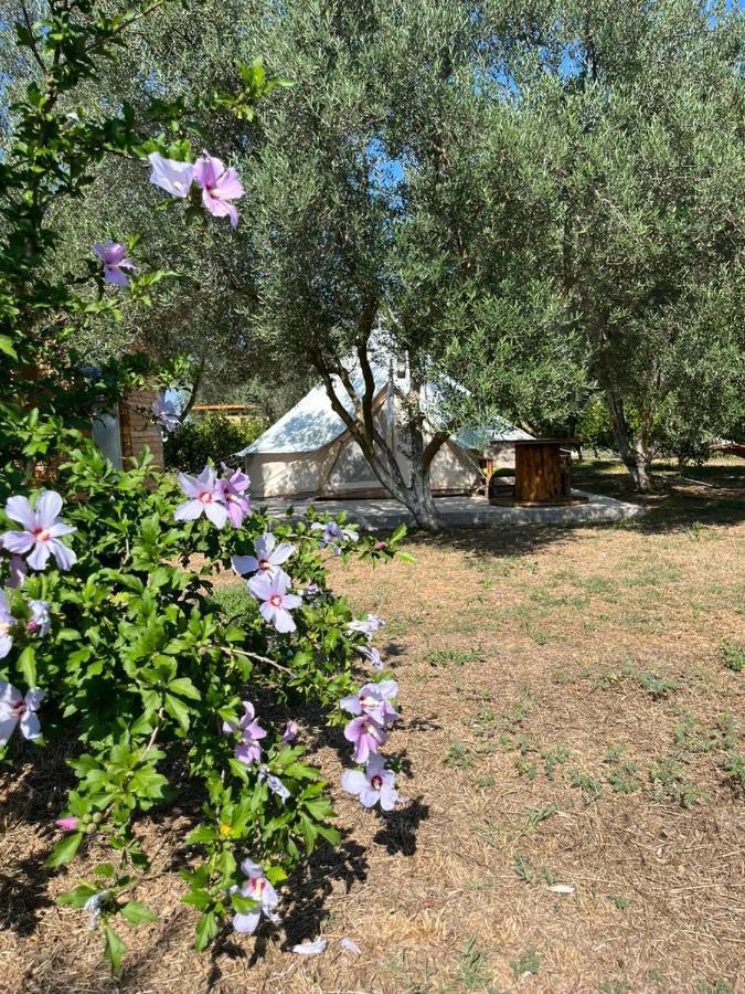 Eco Glamping With Pool Between Nafplio And Argosz Kültér fotó