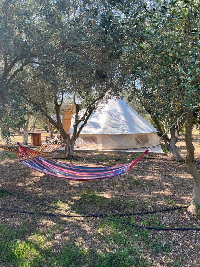Eco Glamping With Pool Between Nafplio And Argosz Kültér fotó