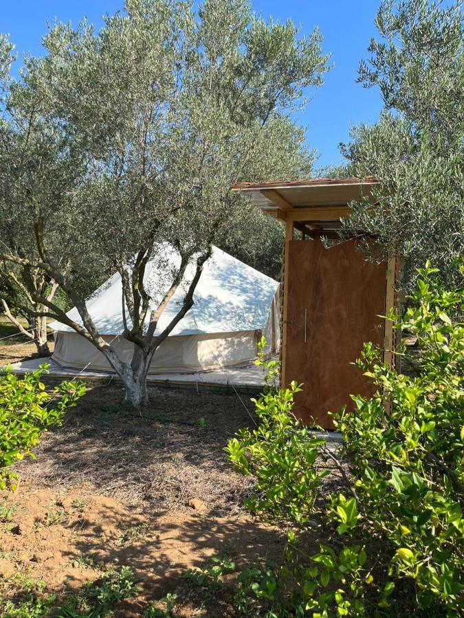 Eco Glamping With Pool Between Nafplio And Argosz Kültér fotó