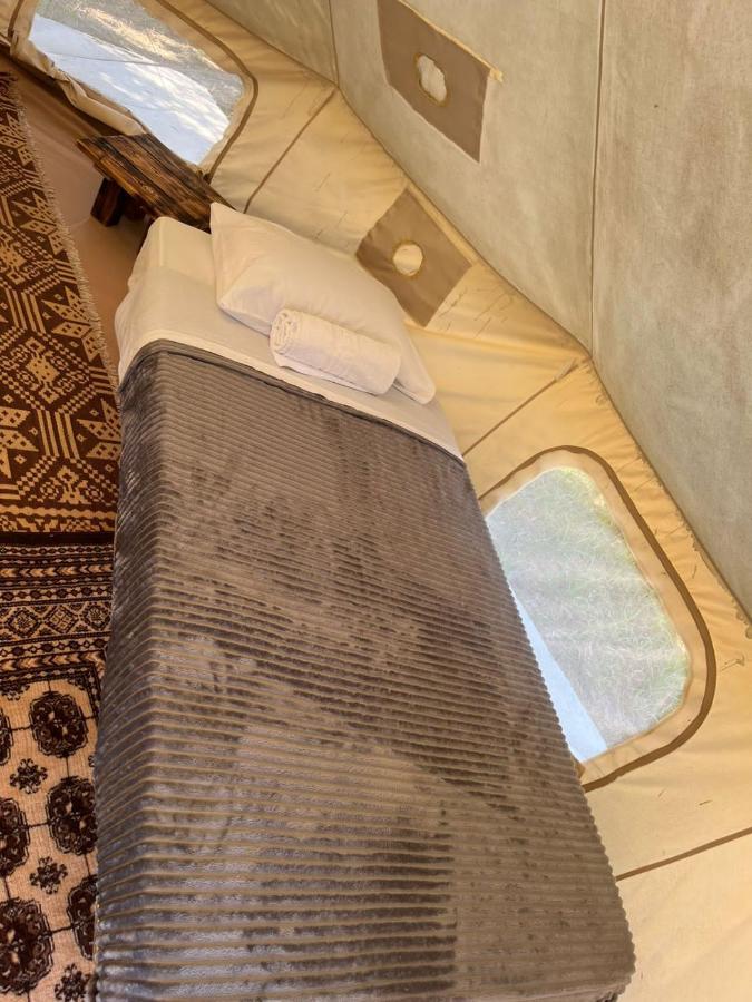 Eco Glamping With Pool Between Nafplio And Argosz Kültér fotó