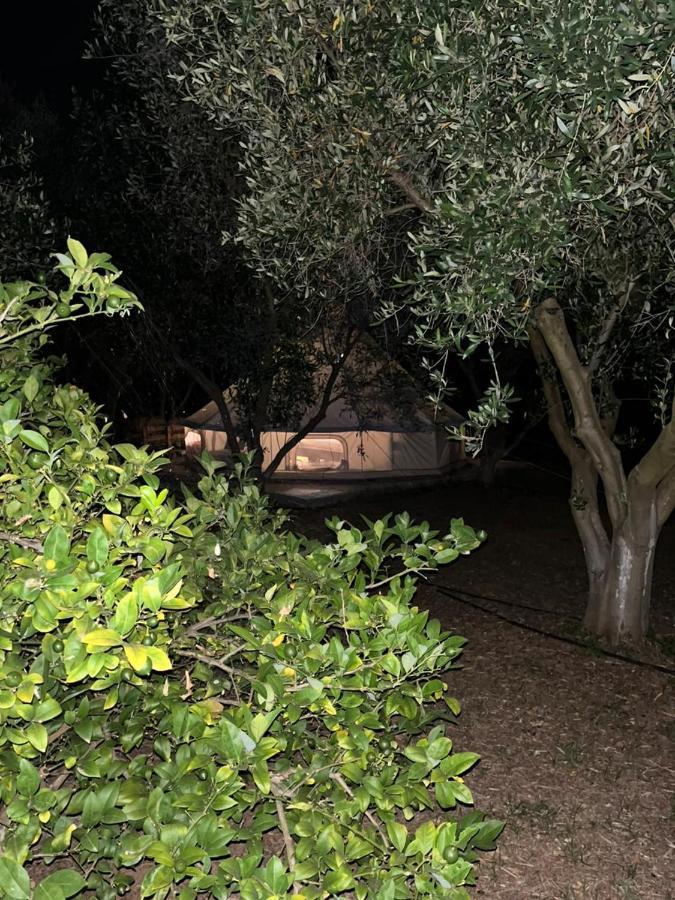 Eco Glamping With Pool Between Nafplio And Argosz Kültér fotó