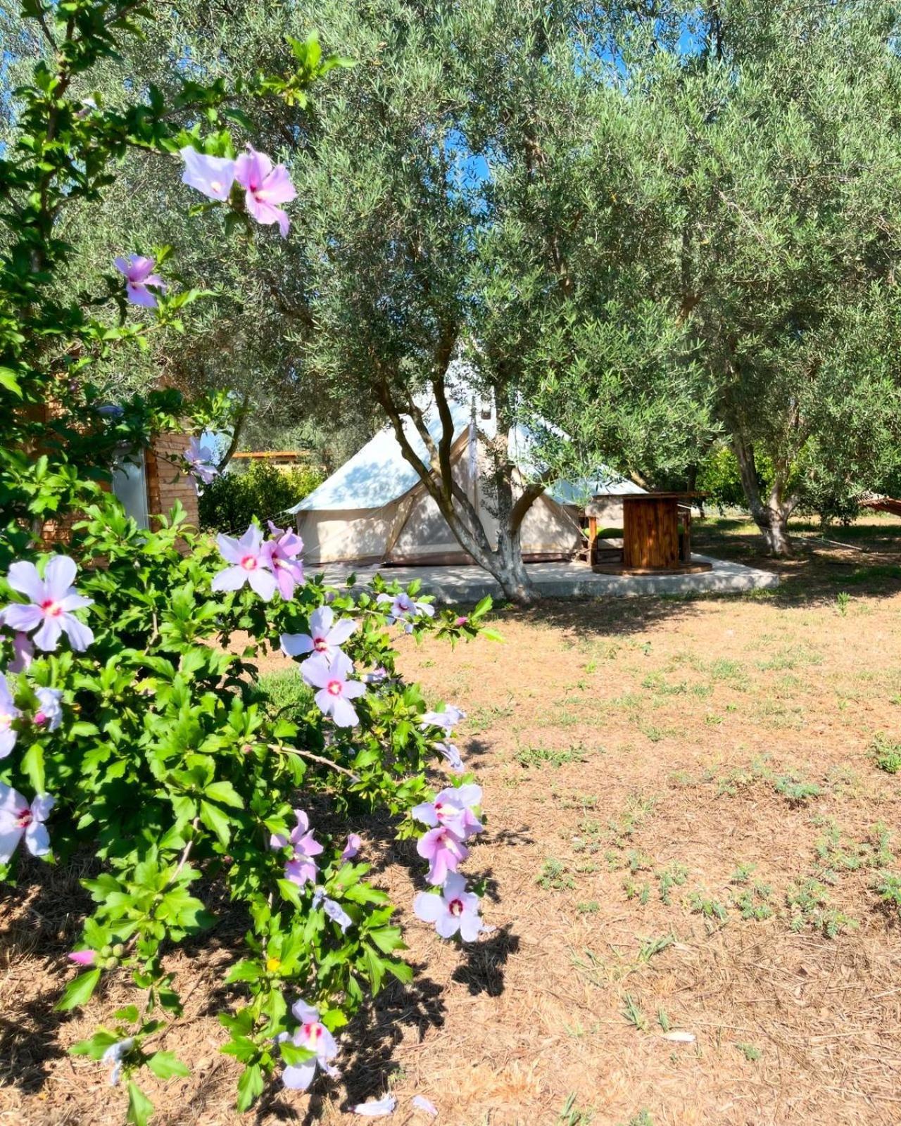 Eco Glamping With Pool Between Nafplio And Argosz Kültér fotó