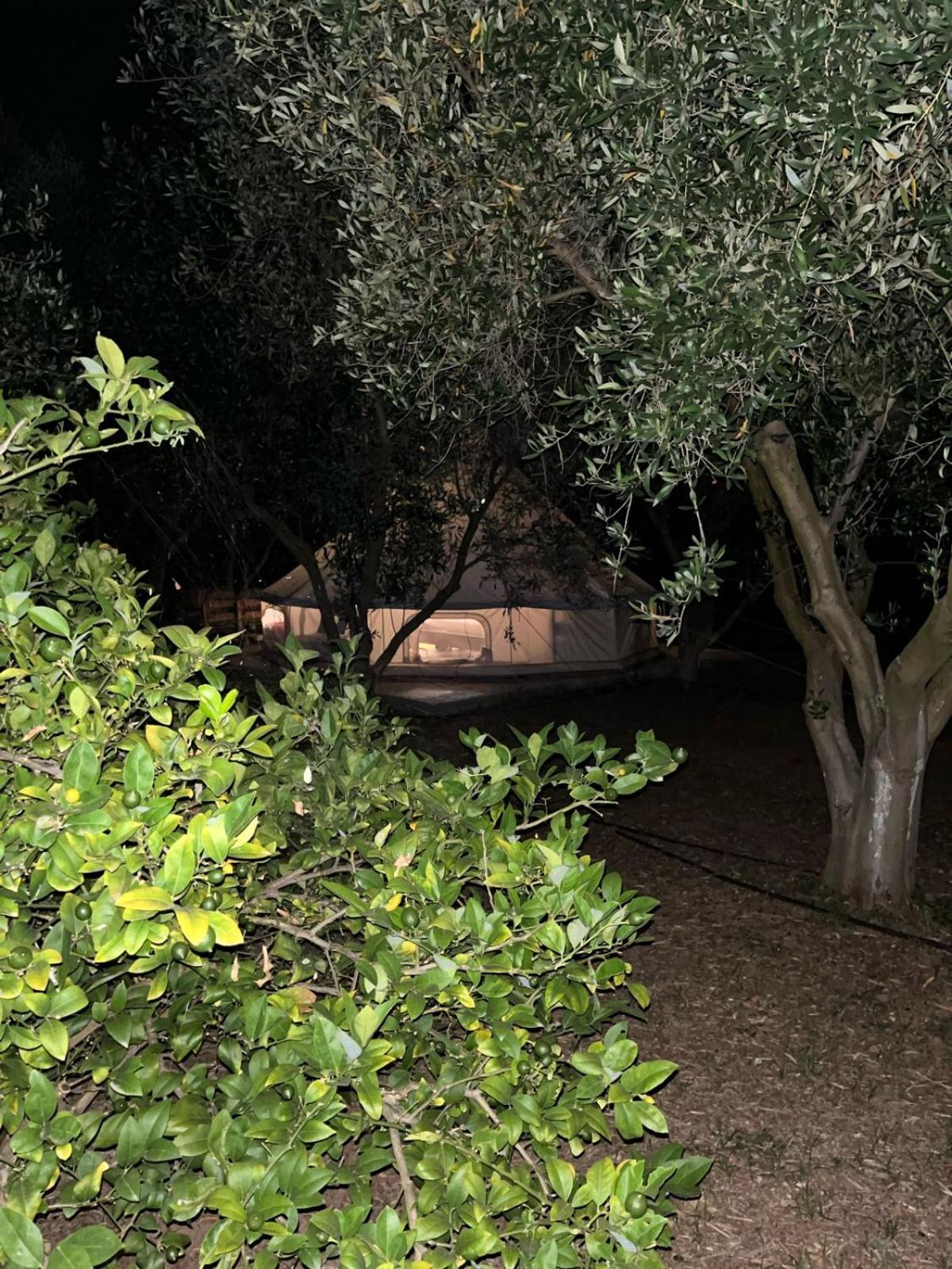 Eco Glamping With Pool Between Nafplio And Argosz Kültér fotó